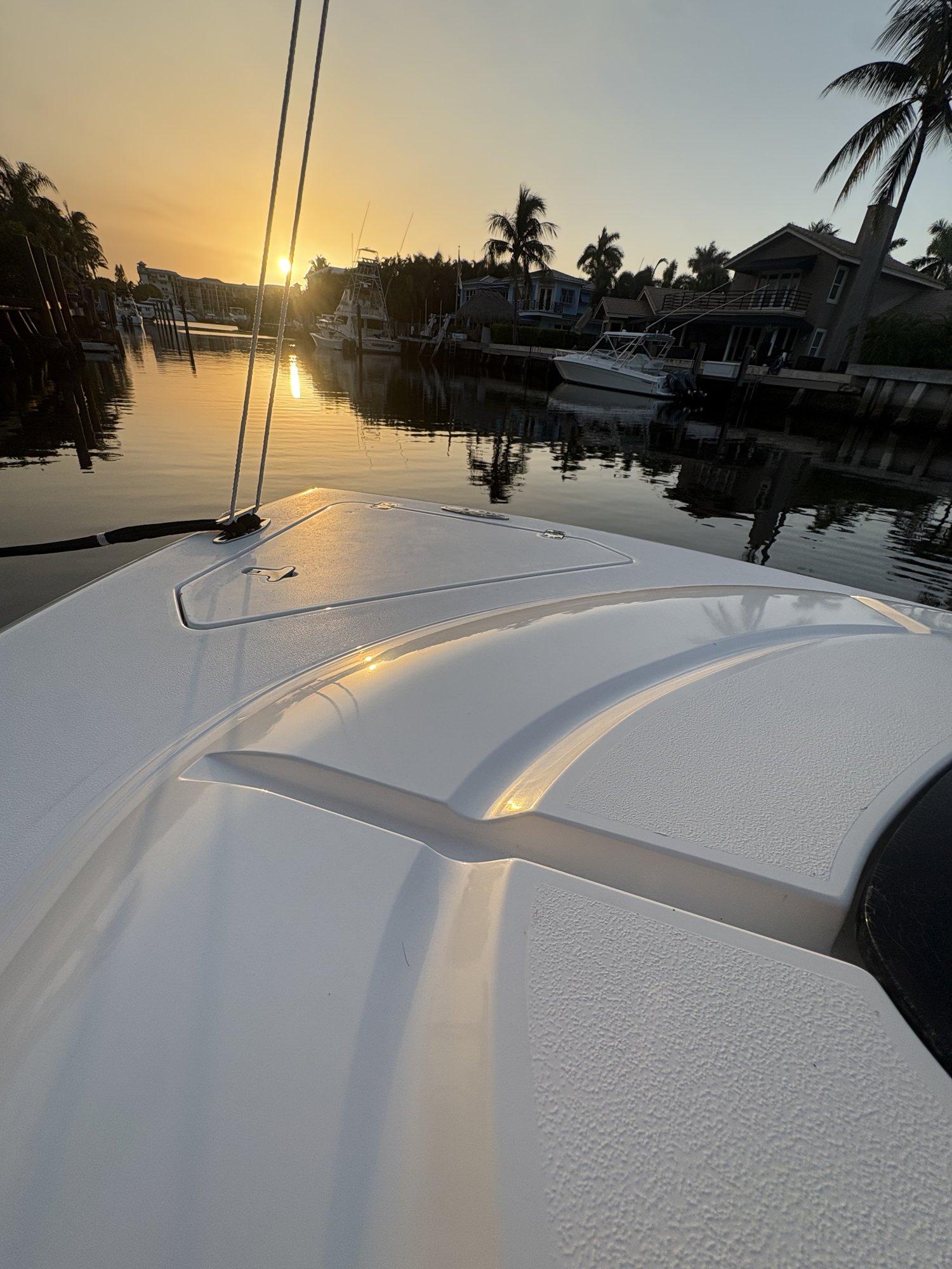 Bow rail gloss at golden hour